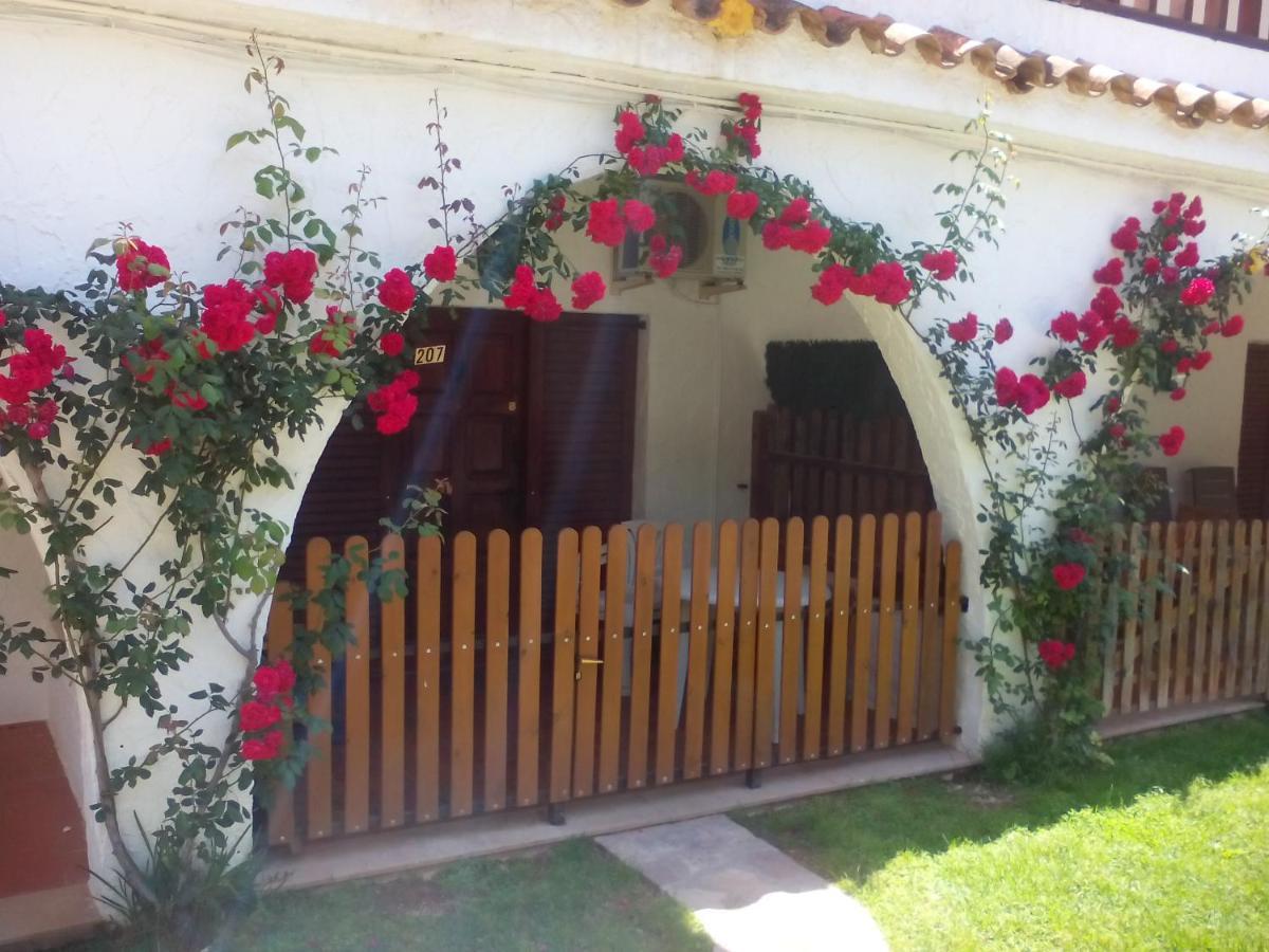 Apartamentos Alcossebre "El Faro Apartaments Alcossebre" Piscina, Playa Y Diversion Kültér fotó